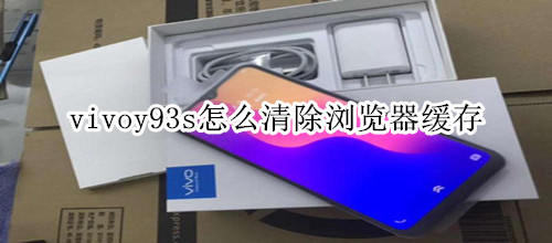 vivoy93s怎么清除瀏覽器緩存