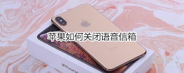 苹果如何关闭语音信箱