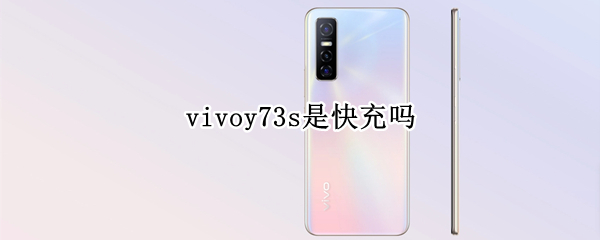 vivoy73s是快充嗎