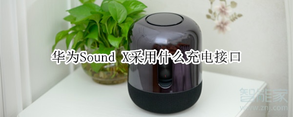 華為Sound X采用什么充電接口