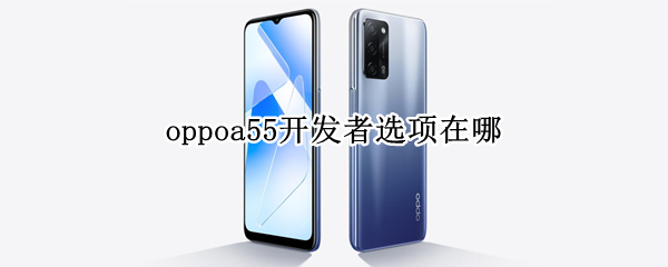 oppoa55開發(fā)者選項在哪