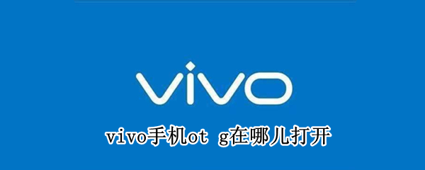 vivo手機(jī)ot g在哪兒打開