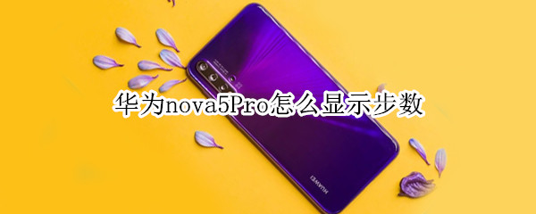 華為nova5Pro怎么顯示步數(shù)