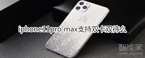 iphone11pro max支持双卡双待么