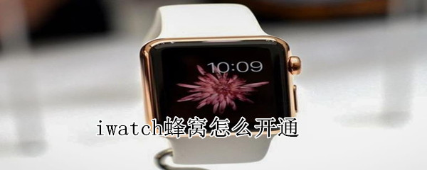 iwatch蜂窩怎么開通