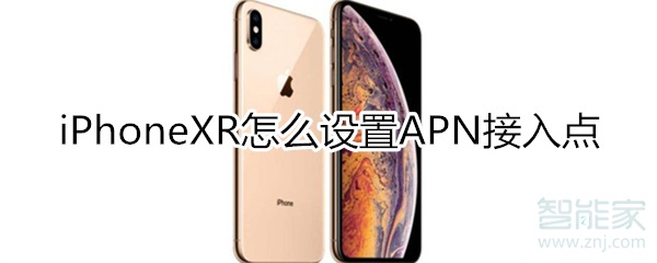 iphonexr設(shè)置apn