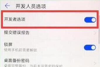 华为nova5iPro怎么打开开发者选项