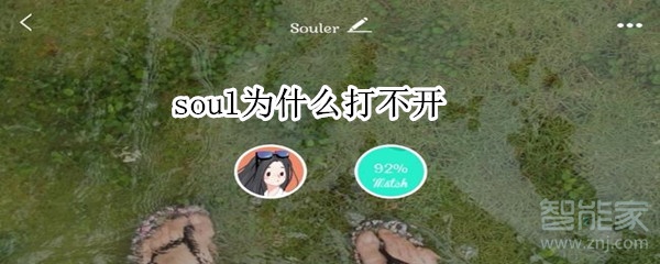 soul為什么打不開