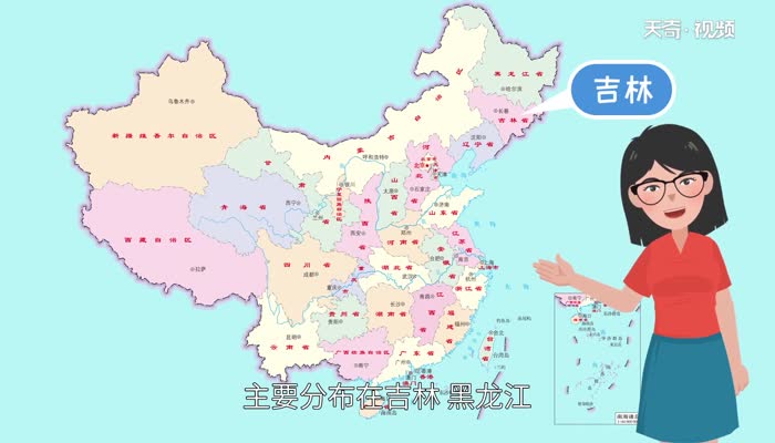 朝鮮族有什么民族風情 朝鮮族的民風民俗