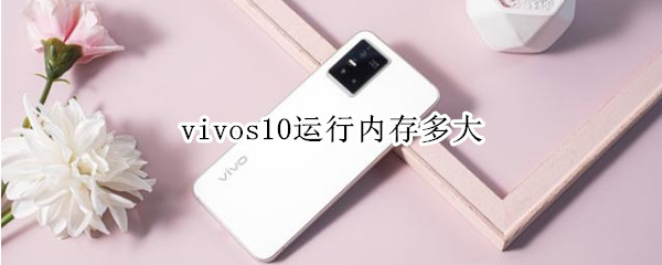 vivos10运行内存多大