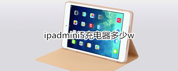 ipadmini5充电器多少w