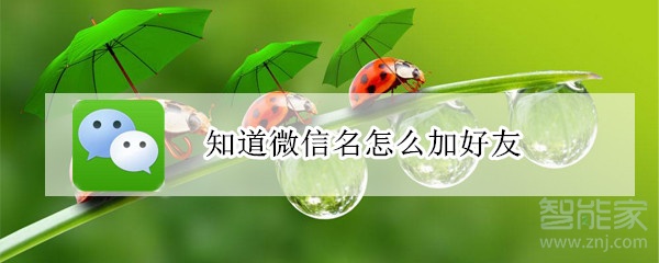 知道微信名怎么加好友