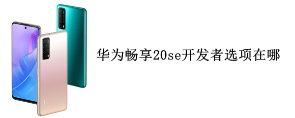 華為暢享20se開發(fā)者選項(xiàng)在哪