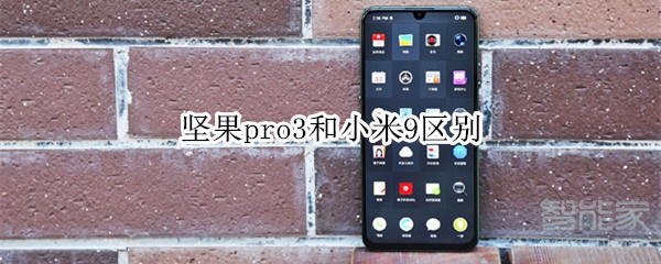 堅果pro3和小米9區(qū)別