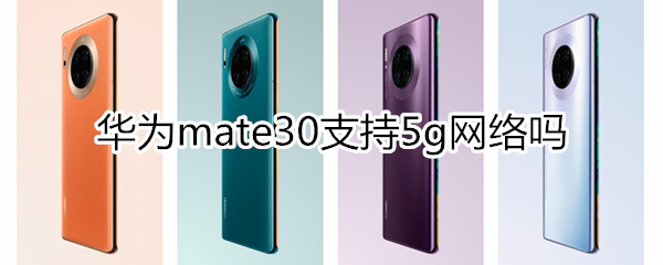 mate30支持5g网络吗