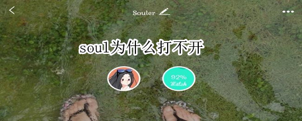 soul為什么打不開