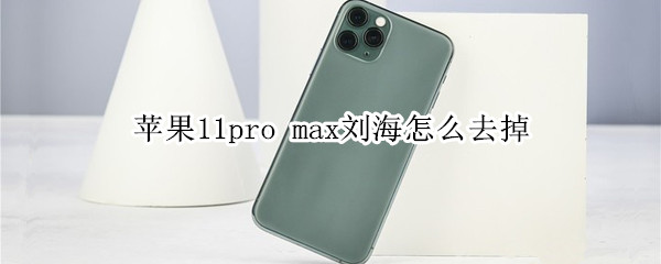 蘋果11pro max劉海怎么去掉