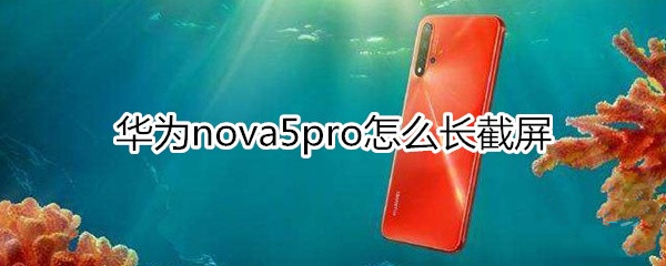 nova5pro怎么长截屏