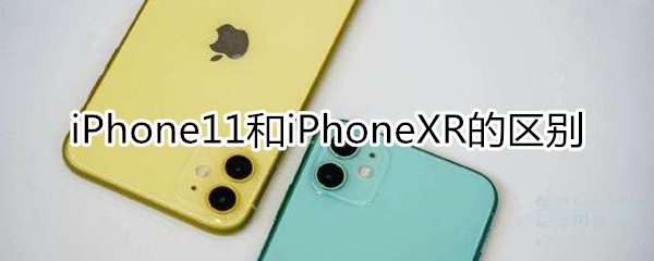 iphone 11和iphone xr的區(qū)別