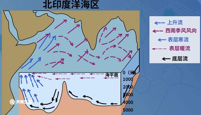 索马里洋流冬夏成因 索马里洋流冬夏的成因是什么