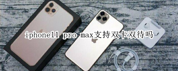 iphone11 pro max支持雙卡雙待嗎