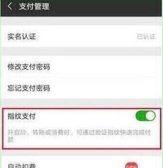 榮耀20pro怎么設(shè)置微信指紋支付