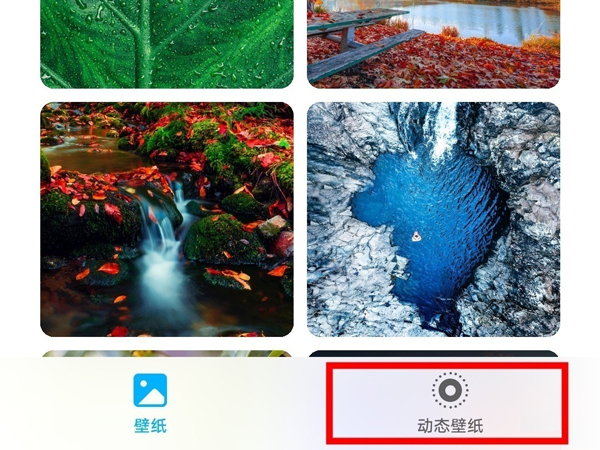 榮耀x20se怎么設(shè)置動(dòng)態(tài)壁紙