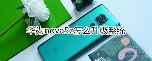 華為nova5z怎么升級系統(tǒng)