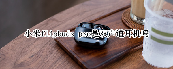 小米flipbuds pro是雙聲道耳機(jī)嗎