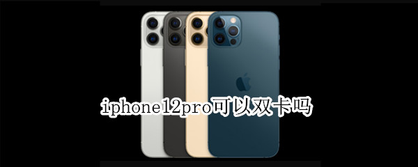 iphone12pro可以双卡吗