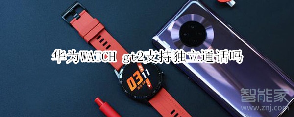 華為WATCH gt2支持獨(dú)立通話(huà)嗎