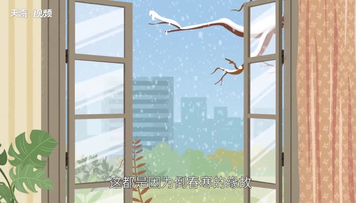 四月下大雪是什么征兆 四月的雪是什么意思