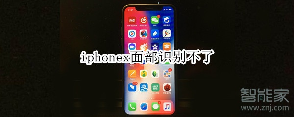 iphonex面部识别不了