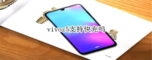 vivoz5支持快充嗎