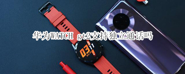 華為WATCH gt2支持獨(dú)立通話(huà)嗎