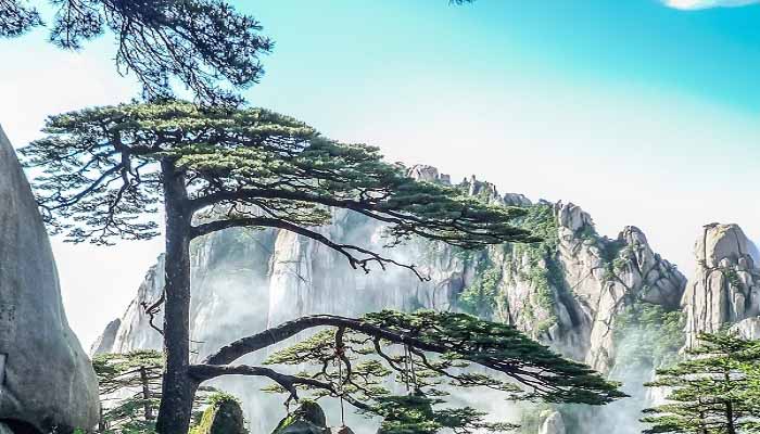 黄山奇石有哪些 黄山奇石有哪些石头 