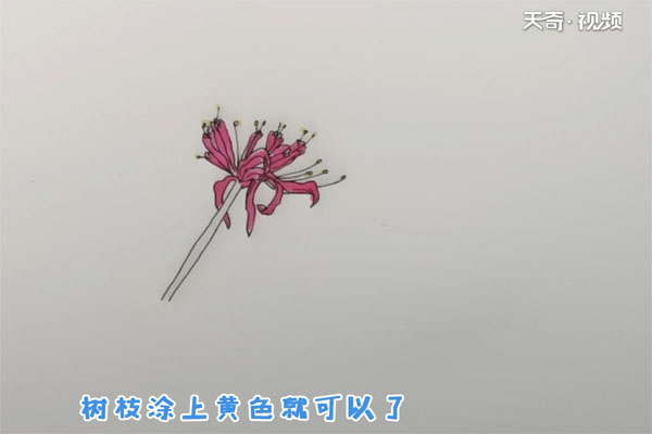 彼岸花简笔画