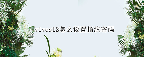 vivos12怎么设置指纹密码（vivo手机密码指纹咋设置）