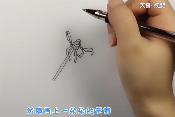 彼岸花简笔画