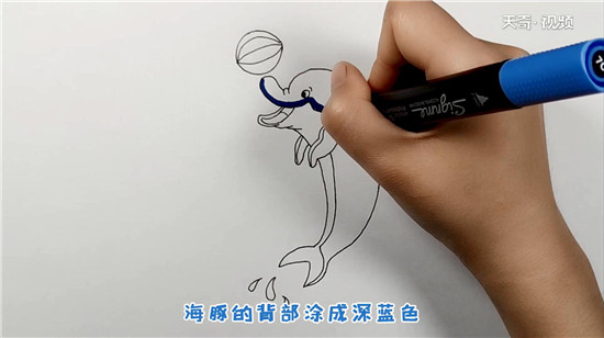 海豚简笔画