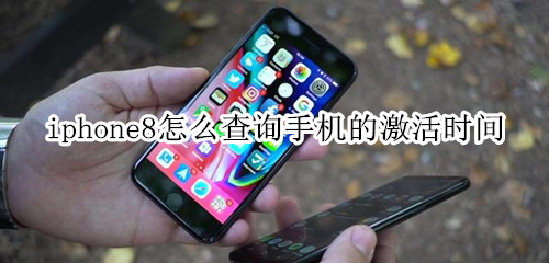 iphone8怎么查询手机的激活时间