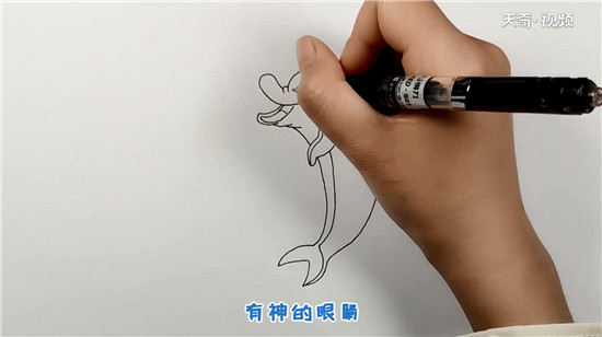 海豚简笔画