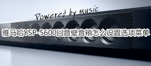 雅马哈YSP-5600回音壁音箱怎么设置选项菜单