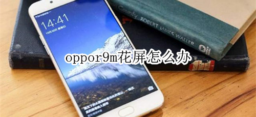 oppor9m花屏怎么辦