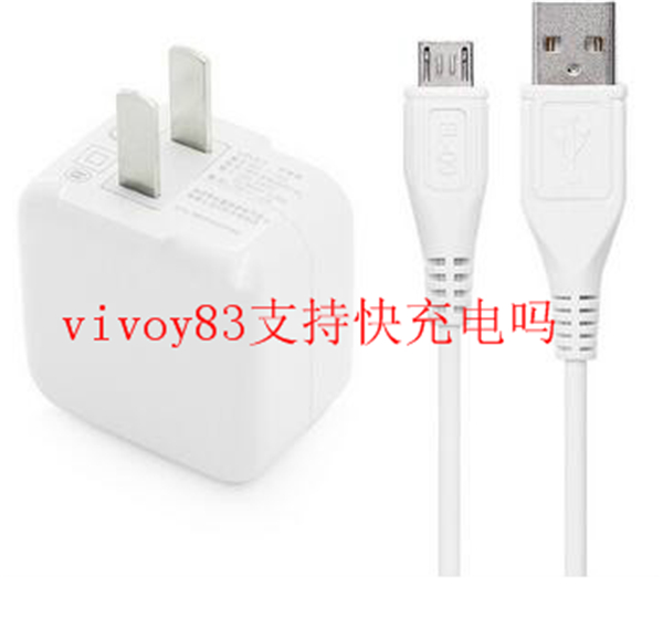 vivoy83支持快充電嗎