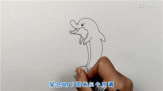 海豚简笔画