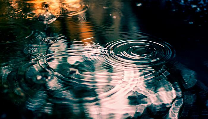 随风潜入夜中的潜字写出了春雨的哪些特点 潜字写出了春雨的什么特点