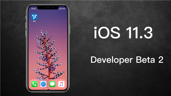 iPhoneX升級(jí)iOS11.3會(huì)被降頻嗎