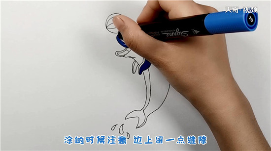 海豚简笔画