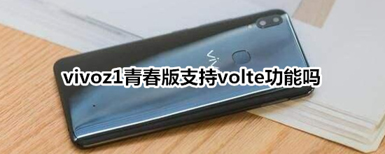 vivoz1青春版支持volte功能嗎